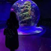 ヒメ日記 2026/03/19 00:48 投稿 高野　しょうな 出張メンズエステ ロマンスSPA 奈良