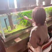 ヒメ日記 2026/04/21 18:07 投稿 高野　しょうな 出張メンズエステ ロマンスSPA 奈良