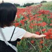 高野　しょうな F様のありがとう💌 出張メンズエステ ロマンスSPA 奈良