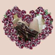 中野美沙子 おはようございます 五十路マダムエクスプレス横浜店（カサブランカグループ）