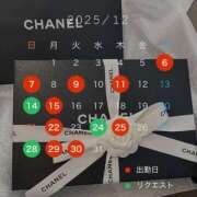 ヒメ日記 2025/12/04 08:08 投稿 天使エマ ハールブルク