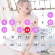 天使エマ 1月前半スケジュール(仮) ハールブルク