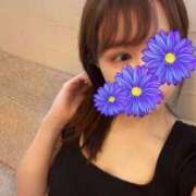 ヒメ日記 2025/06/14 15:03 投稿 日向らん(ひなたらん) 東京ヒストリー lettre d'amour