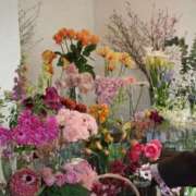 日向らん(ひなたらん) 💐 東京ヒストリー lettre d'amour