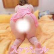 ヒメ日記 2025/08/14 21:20 投稿 瑞葉(みずは) DAHLIA(ダリア)