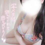 ヒメ日記 2025/09/08 08:10 投稿 瑞葉(みずは) DAHLIA(ダリア)