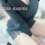 ヒメ日記 2025/09/03 14:44 投稿 Haruna CELEB（セレブ）