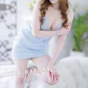 Haruna ??ラストバニー CELEB（セレブ）