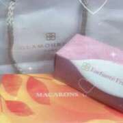 ゆゆ 新人＠ゆゆ（スピード難波店） スピード難波店