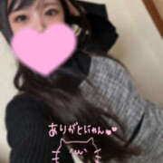 ヒメ日記 2025/06/10 01:32 投稿 せいら プロフィール 大阪店