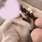 ヒメ日記 2026/07/11 15:41 投稿 ルリ【STANDARD】 ROMANCE and GIRLS 盛岡