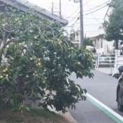 ヒメ日記 2025/09/14 21:25 投稿 十和子（とわこ） PLUS難波店