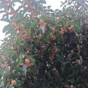 ヒメ日記 2025/11/01 09:24 投稿 十和子（とわこ） PLUS難波店