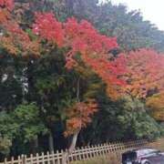 ヒメ日記 2025/11/20 15:04 投稿 十和子（とわこ） PLUS難波店