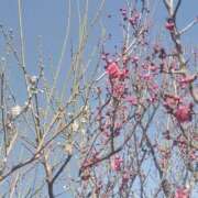 ヒメ日記 2026/01/18 19:34 投稿 十和子（とわこ） PLUS難波店