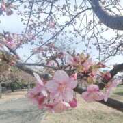 ヒメ日記 2026/02/24 11:44 投稿 十和子（とわこ） PLUS難波店