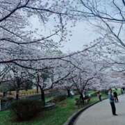 ヒメ日記 2026/03/29 22:54 投稿 十和子（とわこ） PLUS難波店