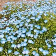 ヒメ日記 2026/03/30 11:04 投稿 十和子（とわこ） PLUS難波店