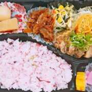 ヒメ日記 2026/03/30 12:49 投稿 十和子（とわこ） PLUS難波店