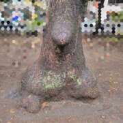 ヒメ日記 2026/03/02 11:17 投稿 みき One More 奥様　五反田店