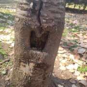 ヒメ日記 2026/03/27 11:27 投稿 みき One More 奥様　五反田店