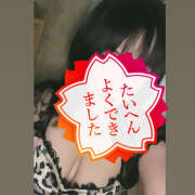 まり 💤 ピーチパイ