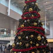 ヒメ日記 2025/11/26 11:11 投稿 さな ピーチパイ