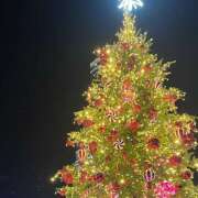 ヒメ日記 2025/12/24 02:11 投稿 くれは ピーチパイ