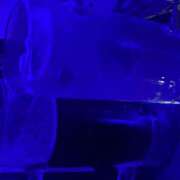 ヒメ日記 2025/07/24 02:08 投稿 のの ピーチパイ