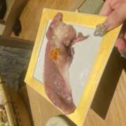 ヒメ日記 2025/09/04 02:10 投稿 のの ピーチパイ