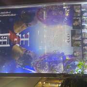 ヒメ日記 2025/09/24 02:38 投稿 のの ピーチパイ