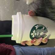 ヒメ日記 2026/02/22 18:26 投稿 のの ピーチパイ