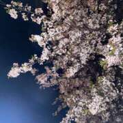 ヒメ日記 2026/04/12 16:37 投稿 のの ピーチパイ