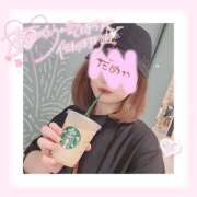 ヒメ日記 2025/08/04 01:00 投稿 さくら ピーチパイ