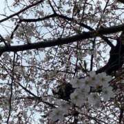 ヒメ日記 2026/03/25 23:07 投稿 夢見留すず 五反田ウルトラファンタジー