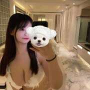 ヒメ日記 2026/03/30 07:17 投稿 夢見留すず 五反田ウルトラファンタジー