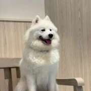 ヒメ日記 2025/08/07 10:45 投稿 さくら　【✨VIP✨】 Sabbat(サバト)