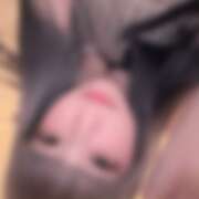 ヒメ日記 2025/06/19 03:57 投稿 ななせ えぷどる