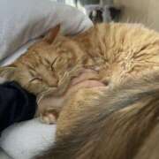 ヒメ日記 2025/06/23 01:56 投稿 ななせ えぷどる