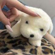 ヒメ日記 2025/07/04 17:09 投稿 ななせ えぷどる