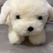 ヒメ日記 2025/07/07 13:23 投稿 ななせ えぷどる