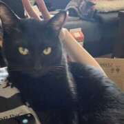 ヒメ日記 2025/09/10 19:50 投稿 ななせ えぷどる