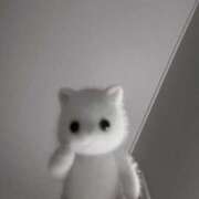 ヒメ日記 2025/11/02 04:32 投稿 ななせ えぷどる