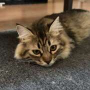 ヒメ日記 2025/11/16 23:15 投稿 ななせ えぷどる