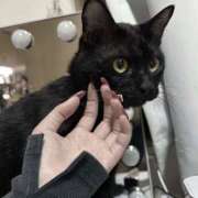 ヒメ日記 2025/12/17 06:54 投稿 ななせ えぷどる