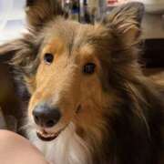 ヒメ日記 2026/01/12 08:34 投稿 ななせ えぷどる