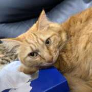 ヒメ日記 2026/01/13 23:30 投稿 ななせ えぷどる