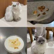 ヒメ日記 2026/03/22 20:10 投稿 ななせ えぷどる