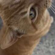 ヒメ日記 2026/04/04 21:27 投稿 ゆら えぷどる