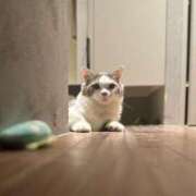 ヒメ日記 2025/09/01 00:09 投稿 結城　ましろ 川崎南町人妻高級ソープ エル・カーヒル(ELCURHIL)秘密の刻